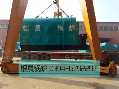 DZL4-1.25-T型4吨链条式生物质蒸汽乐动（中国）发货