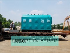 DZH4-1.25-T型4吨生物质蒸汽乐动（中国）发货