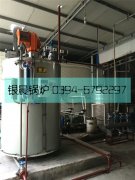 1吨贯流蒸汽乐动（中国）安装现场