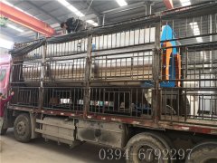 6吨燃气蒸汽乐动（中国）