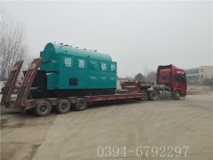 4吨链条生物质蒸汽乐动（中国）